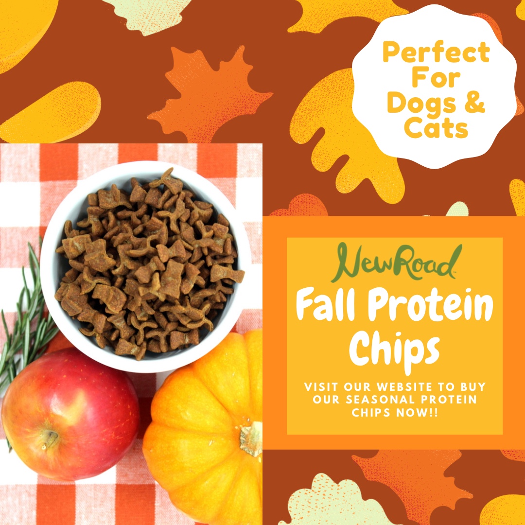 Our Fall Protein Chips are now available for purchase on our website!! They are available for both cats and dogs 🐶 🐱 Your pets will love these yummy fall flavors of chicken, pumpkin, and baked apple 🍎 #fall #cats #dogs