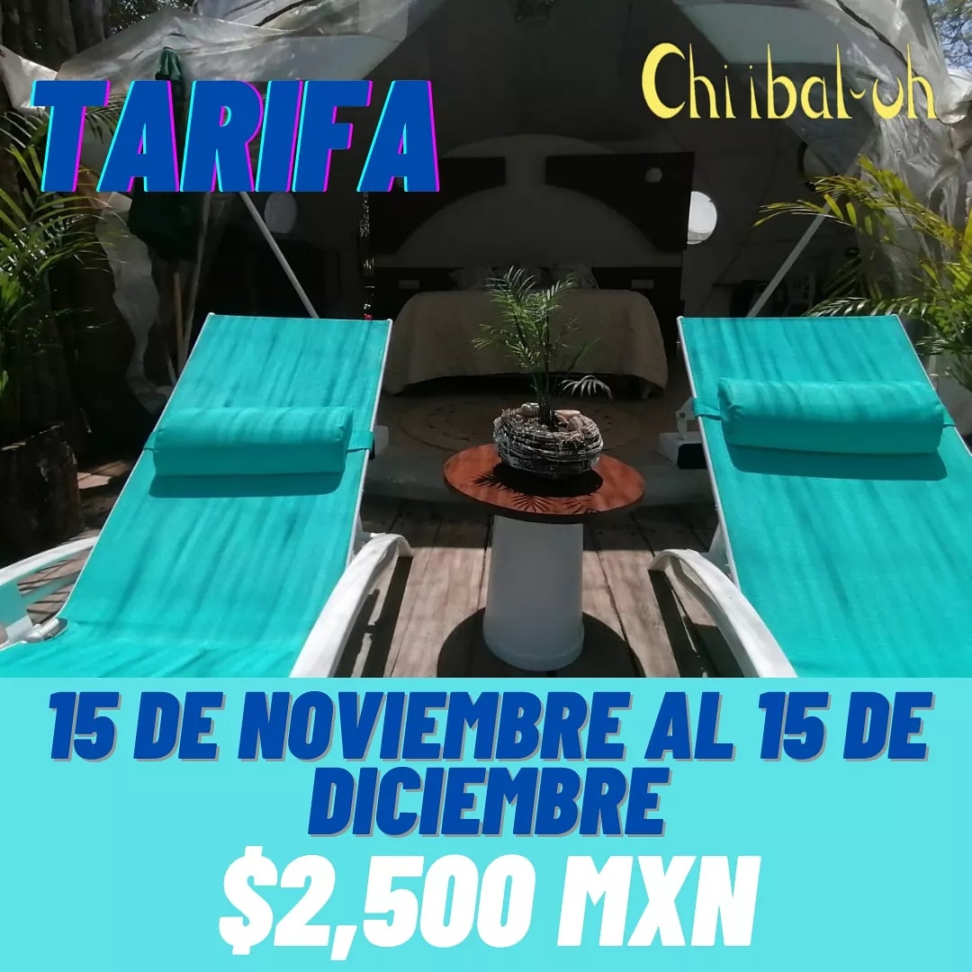 ChiibaluhTulum's tweet photo. APROVECHA LA PROMO  
A partir del 15 de Noviembre al 15 de Diciembre a $2,500 mxn la noche
DISPONIBILIDAD A PARTIR DEL 10 DE NOVIEMBRE 
PREFERENCE RATE
From November 15 to December 15 $2,500 mxn per night
AVAILABILITY FROM NOVEMBER 10 #glampingtulúm  #hospedajetulúm https://t.co/tvdgfSc7Ji
