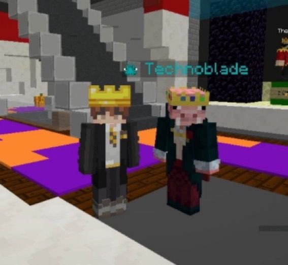 technoblade not in skin