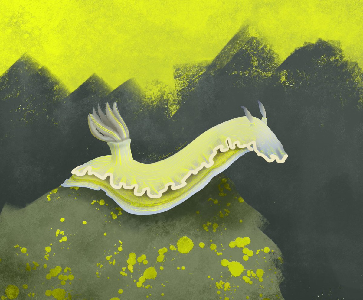 Starting late but wanted to try  #huevember2020 using nudibranches :)Day 1 is this dazzling lemon yellow friend 