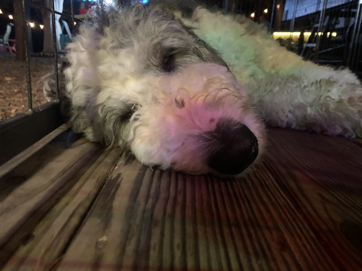 brittdevss's tweet image. Schools got me like this too, Laxer.