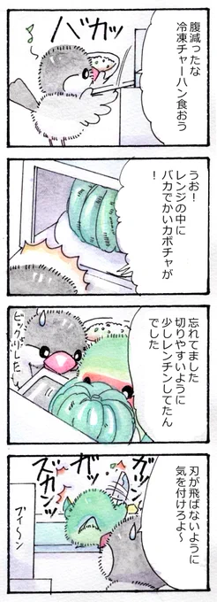 もうすぐ冬至 続き
#かいどりさん 
