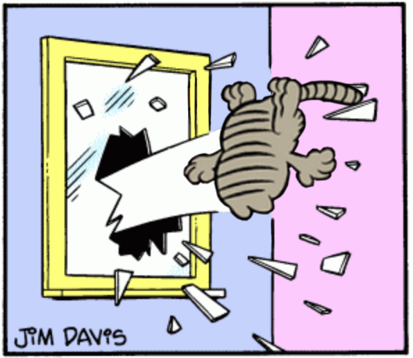 i made an edit of nermal getting thrown out the window 