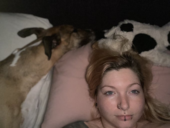 Creeping onto my pillow. The audacity. https://t.co/NquePv6Y6m