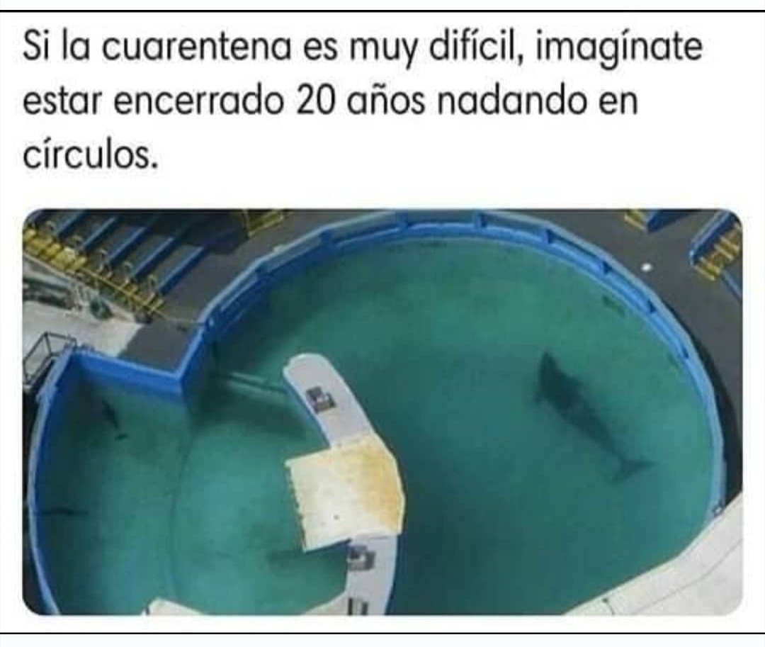 ManuMoradoVeres's tweet photo. 😭💔 https://t.co/1iPyMwyuQ3