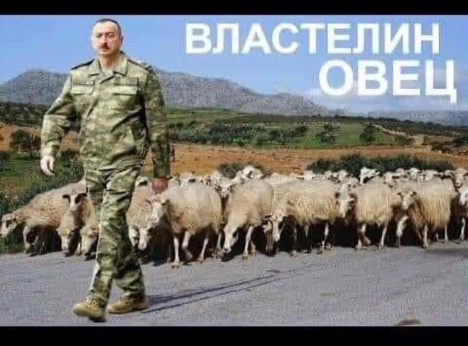 Rmin90's tweet photo. @presidentaz https://t.co/qaoEzssKAL
