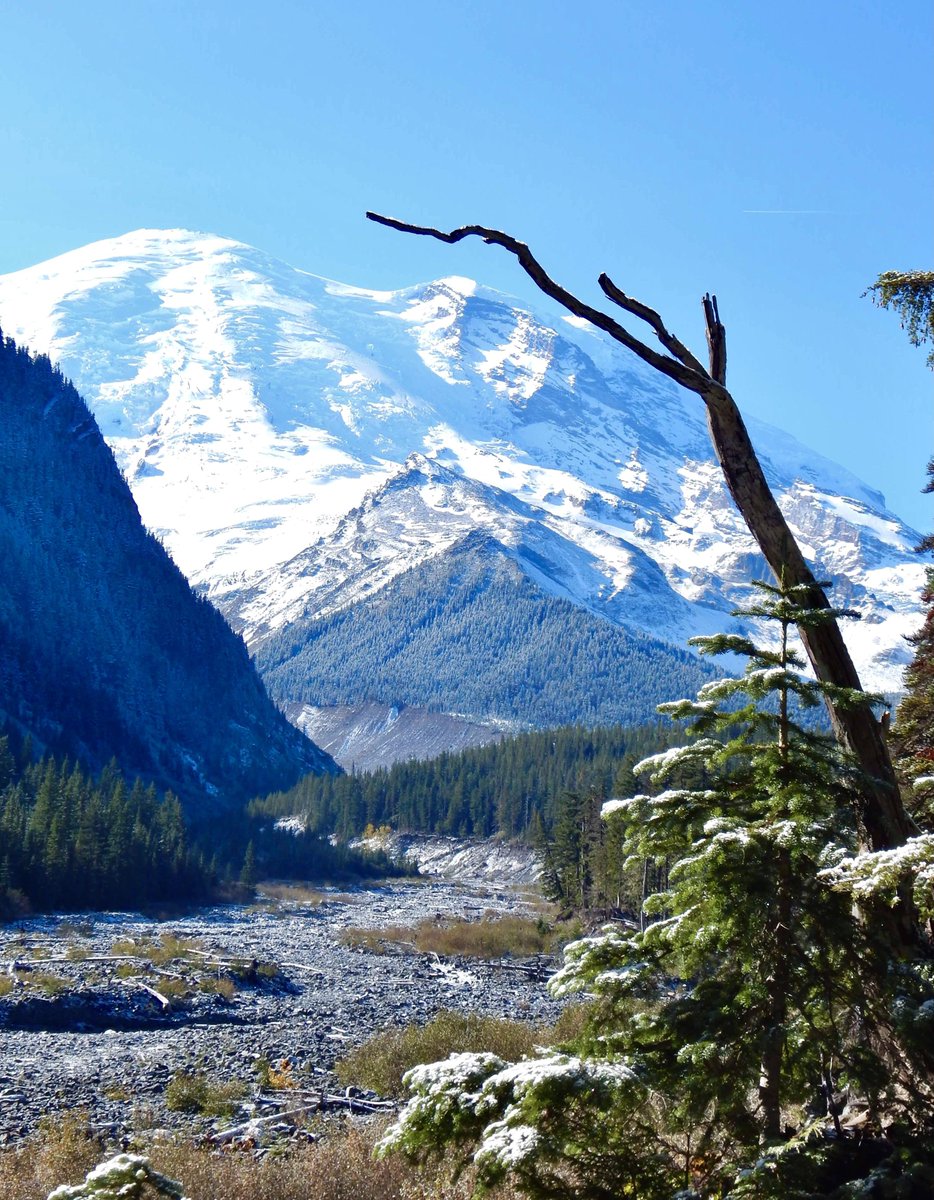 gorgeous_pix's tweet photo. "Late September at White River campground, Mount Rainier National Park. From u/zoointhewoods on /r/mostbeautiful #mountrainiernationalpark #whiterivercampground #lateseptember #mostbeautiful" https://t.co/WipRrT55HQ