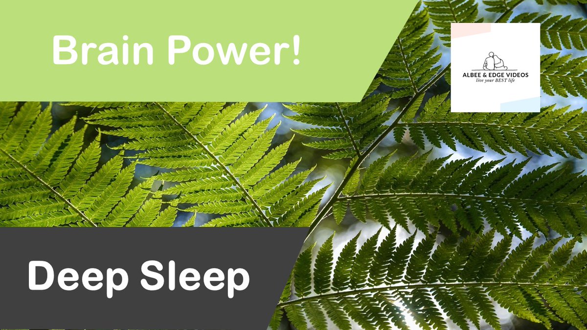 AlbeeEdgee's tweet image. 46th video is now up on our YouTube Channel. Like, comment, and subscribe. Happy watching and listening!

Beautiful Relaxing Music 2020 - Wind breeze - For stress relief, sleeping, and studying #41
youtu.be/ABr67J3Kngk

#AlbeeEdgeVideos
#relaxingmusic #sleepmusic #brainpower