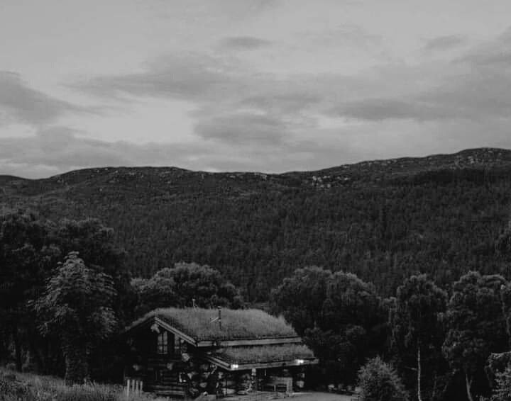 _R0SS22's tweet photo. 7 días de fotografías en blanco y negro, sin explicaciones solo el reto de apreciar lo bello y disfrutar con los amigos.

🌟Me reto  @MariaCecyPa

3/7 https://t.co/aRZ0fbMqj2