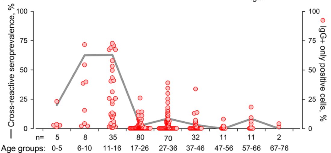 Prevalence of cross-reactive Ab was high for 6-16, but lower for 17+ & 0-5 (N small in 0-5).This *could* explain lower susceptibility & disease severity in fraction of kids 6-16 & possibly lower infectiousness if cross-immunity lowers infectiousness. But...