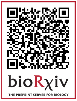 wysscoray's tweet photo. After Tabula Muris and TM Senis check out our last paper of this trio studying rejuvenation by young blood or aging with old blood at the scRNA level https://t.co/Pt3NA5lPx2. Congrats @robipalo &amp; thanks for wonderful collaborations with Andreas Keller, Steve Quake and @czbiohub https://t.co/qf1UM9NtE7