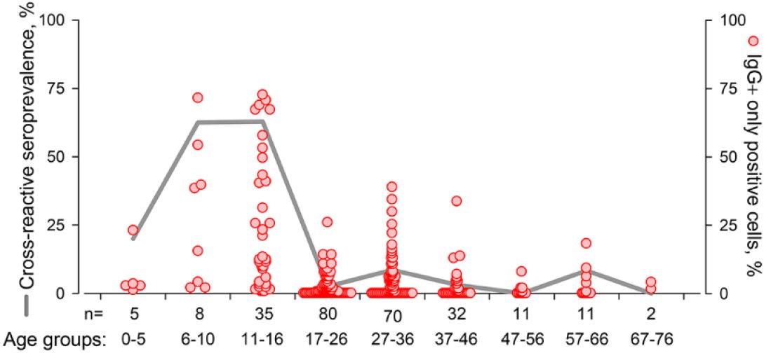 prevalence of infection w/ seasonal coronaviruses is 2x higher in 0-4 than 5-15yr & infection similar for all ages >5yr (Left:  https://wellcomeopenresearch.org/articles/5-52/v1). Thus it's puzzling why cross-reactive Ab would be higher in 11-16 than adults which have same infection prev as all ages >5yr.