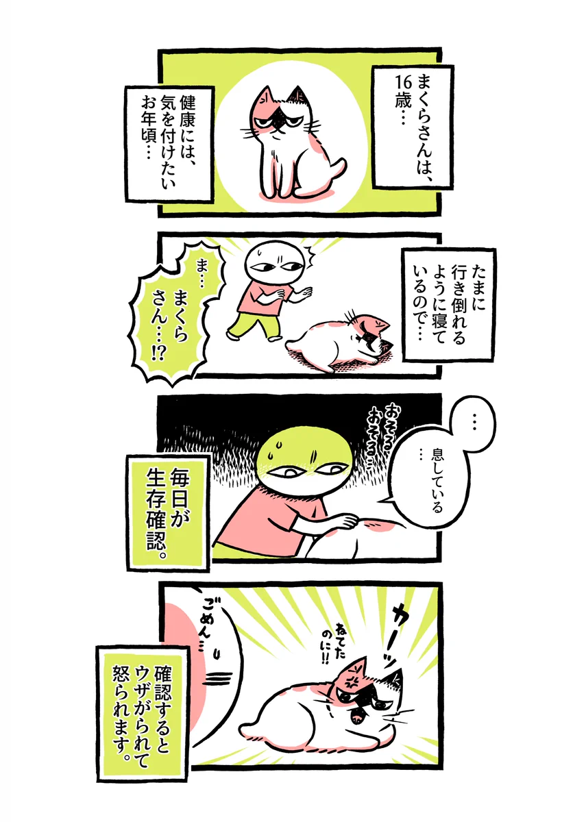 ヨボヨボの迷い猫を保護したら？毎日が生存確認の日々ｗｗ