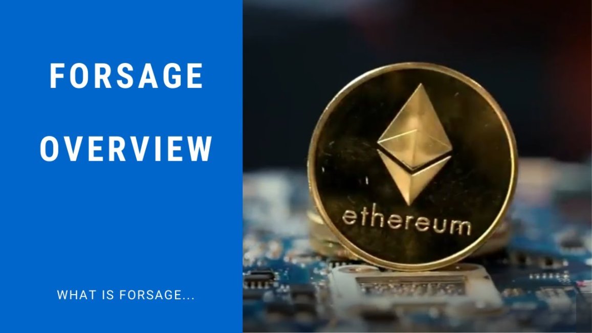 LoveCoffeeHour's tweet photo. Forsage Overview - Earn Ethereum Daily! https://t.co/wGxIzdde40 The Forsage Ethereum Smart Contract is an exciting new way to earn real money. Learn about it here.
#EffectiveEconomicAction #LoveCoffeeHour #Slipstream #ItsAllGoodEP https://t.co/cC6TuTonUz