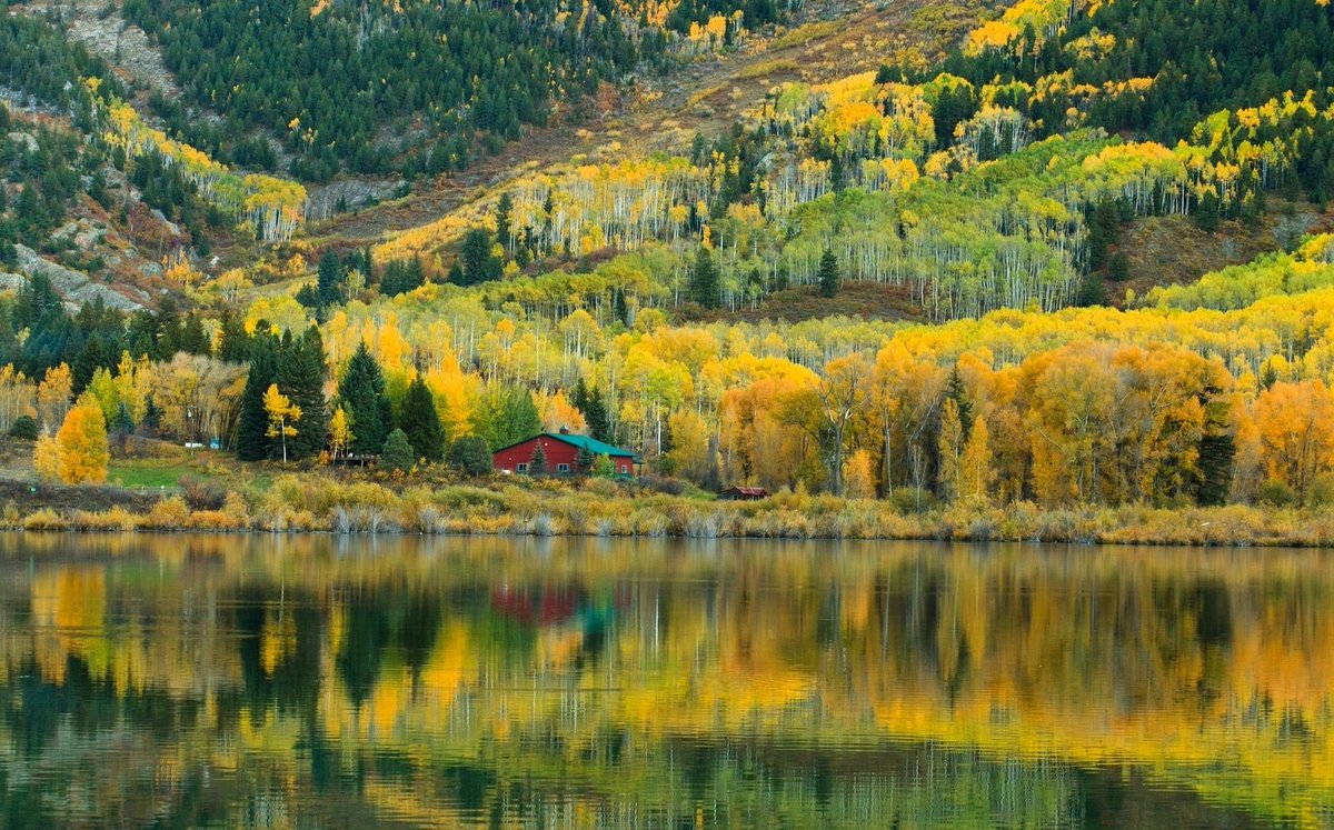 gauthie74757302's tweet photo. Good morning to all, I wish you a pleasant Monday and a happy week with a soft autumn in yellow colors 🌻🍁🍂💛🤗 https://t.co/IjB3zjFqbF
