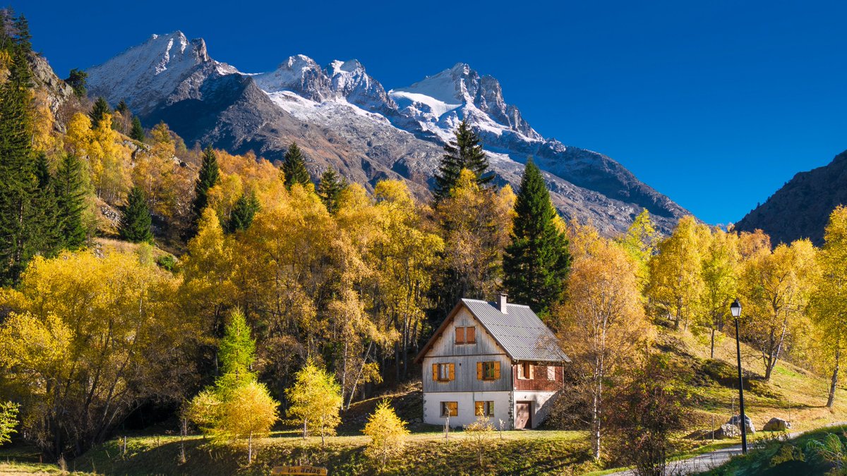 gauthie74757302's tweet photo. Good morning to all, I wish you a pleasant Monday and a happy week with a soft autumn in yellow colors 🌻🍁🍂💛🤗 https://t.co/IjB3zjFqbF