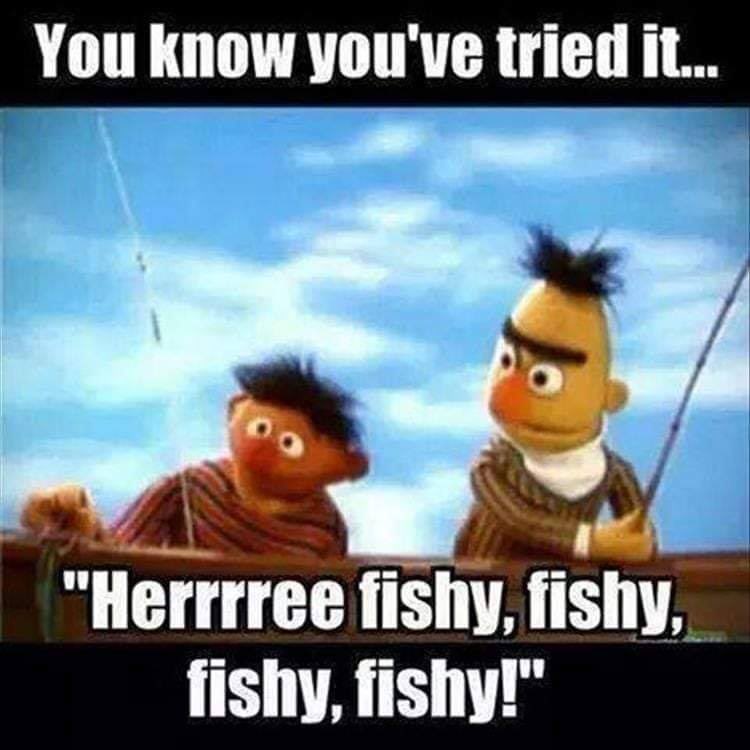 ladderstands's tweet photo. Haha! You know you’ve said it!🎣
. . .
#herefishyfishy #fishing #muppets #fishlure #fishtalk https://t.co/g8TZSWvMa2