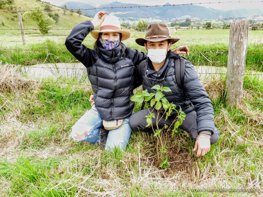 humedalesbogota's tweet photo. Te invitamos a participar en nuestra  #SiembraDelMes el próximo 22 de noviembre.​ ¡Acompáñanos!🌳

Más información en 👉https://t.co/MjLMGP2NPS https://t.co/FId9II4bD7