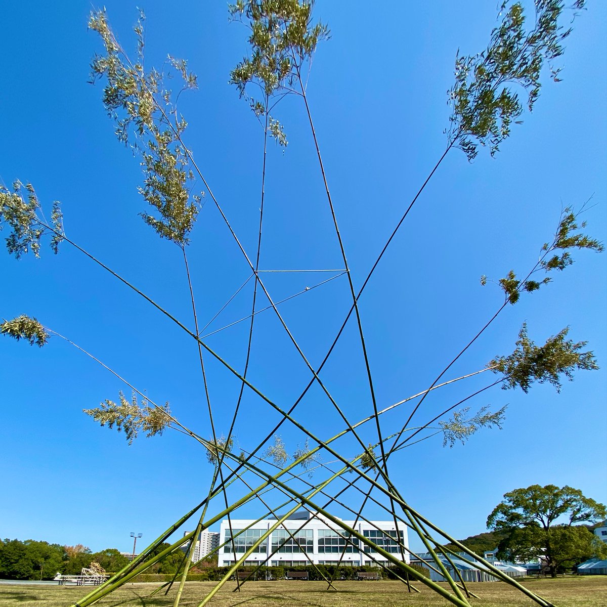 神戸芸術工科大学情報図書館 情報図書館長の一語一絵 情報図書館前のおおぎ型広場に竹の造形作品ができています