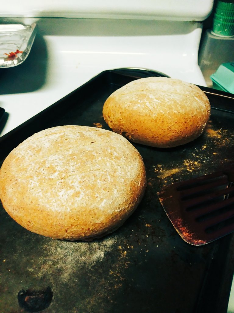 KremPoof98's tweet image. Made some olive and feta stuffed bread for the first time today! There are parts that need improving but it came out pretty good for my first stuffed bread! #homemadebread #stuffedbread
