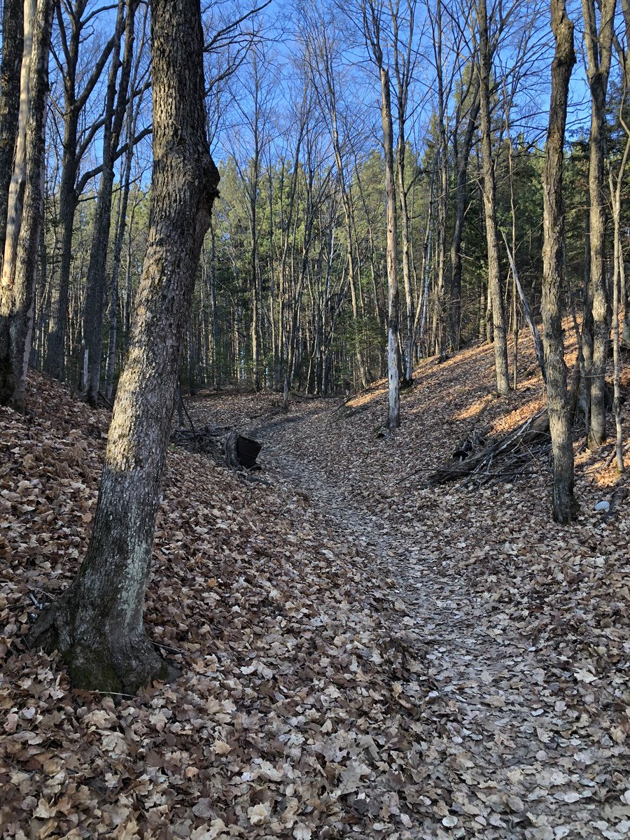 _Rachel_Hill's tweet photo. August in November? Took advantage by hitting the trails. https://t.co/1LQDhYBwt2