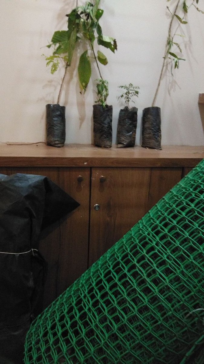 JaySDave1's tweet photo. #SundayforNature
Yesterday, We have planted four more trees at #Dholeshwar. We are very thankful to @GandhinagarMC for helping us and providing the essential items for tree plantation and waste collection.
@SwachhBharatGov @swachhbharat @CollectorGnr @GPCB_HO @sbmugujarat https://t.co/YKjyoTkBMM