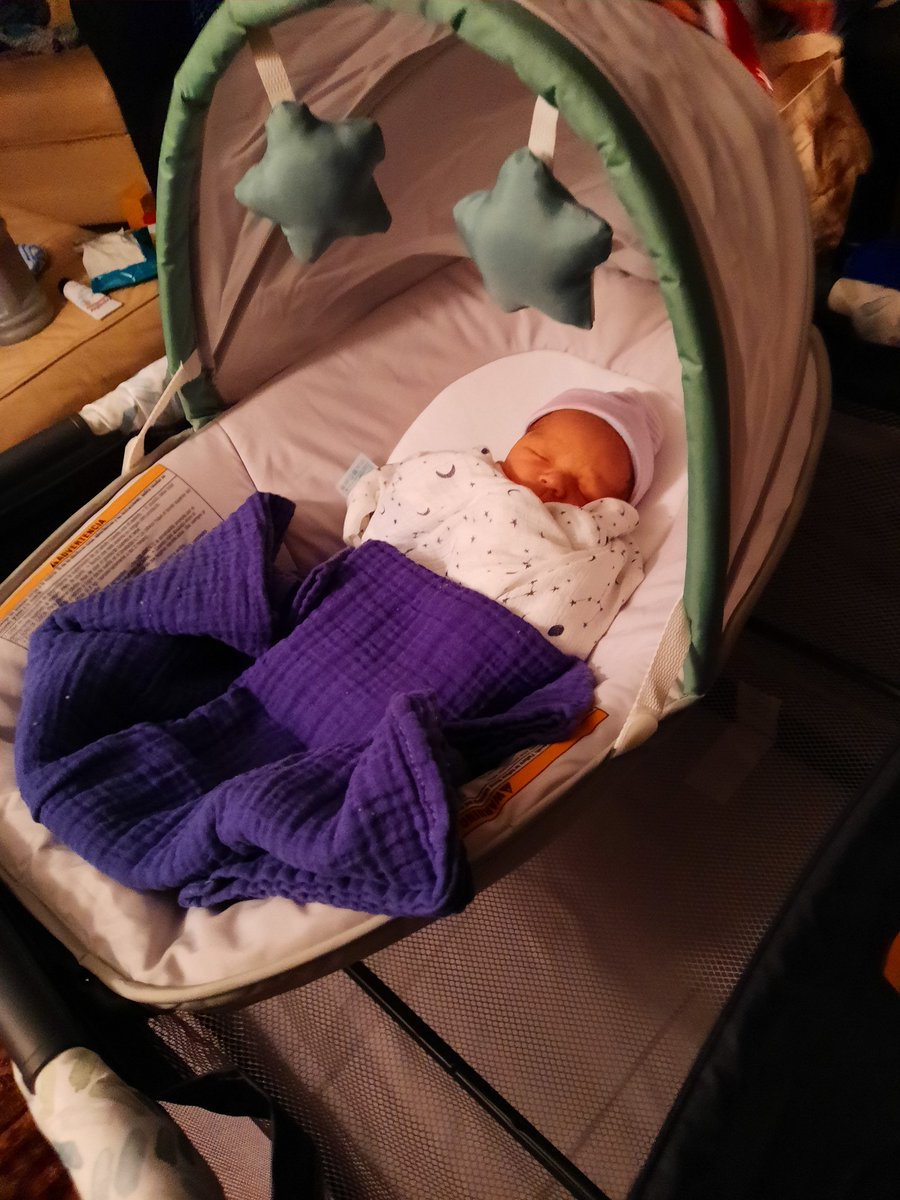 AllHailOvechkin's tweet image. This is the way.  #FirstDayHome #RaidenJess