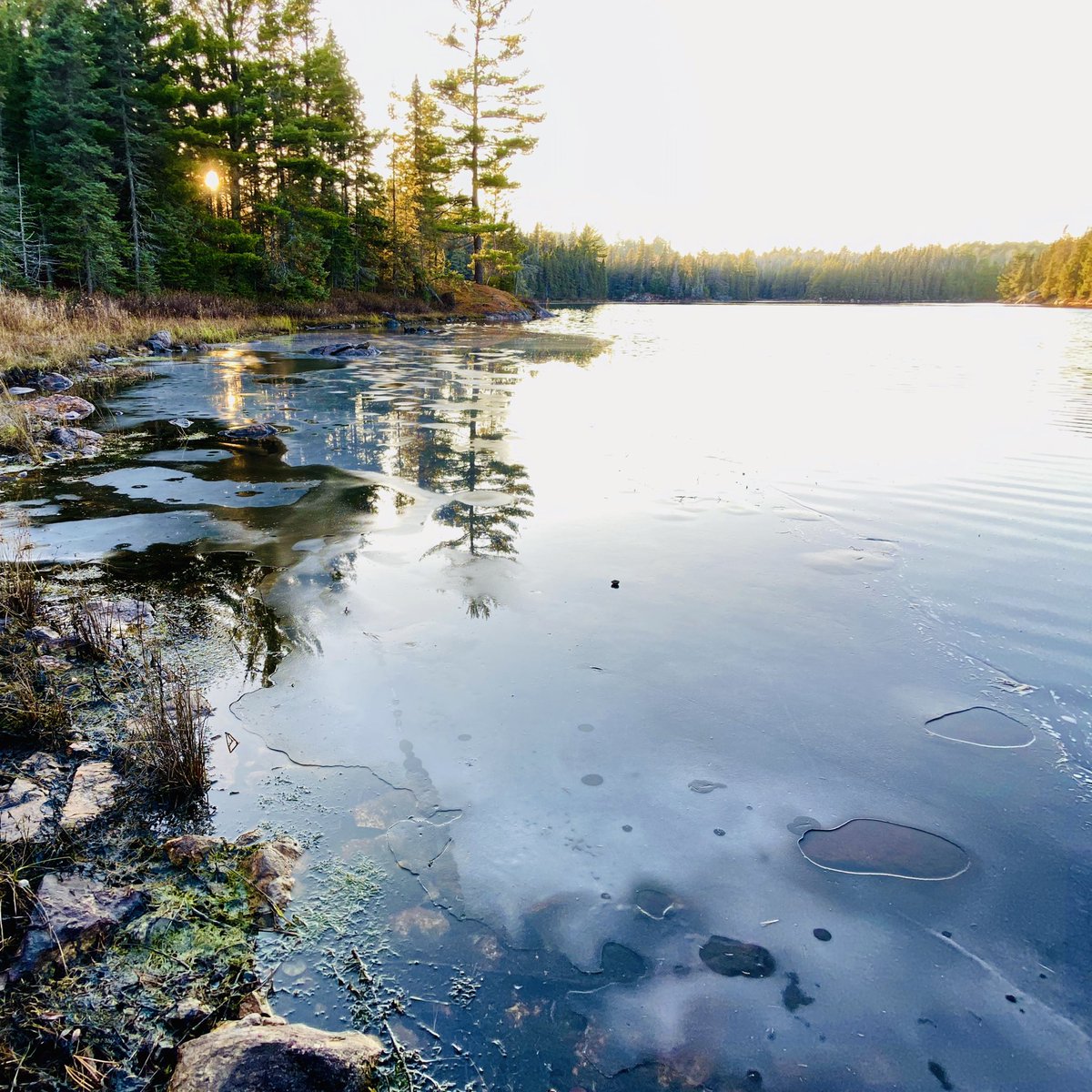 marykkeown's tweet photo. #Ice has begun to form on the #lakes in the #GreaterSudbury area. Oh my... #winter is on the way.  This was along #OldCartierRoad north of #Sudbury, near @WindyLakePP and #CartierOntario. #November #BundleUp #FreezingOver https://t.co/r98MpX7rkV