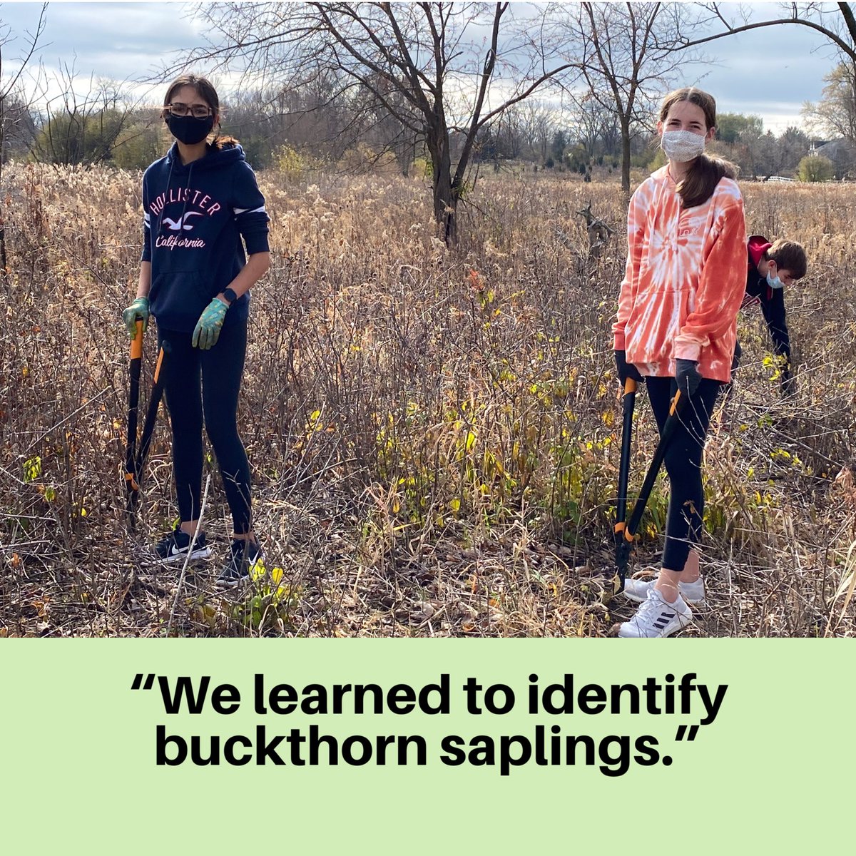 bactrust1's tweet photo. Today teen volunteers helped restore Pederson Preserve, BACT’s outdoor classroom, & learned at the same time. Thanks to Illinois Clean Energy Community Foundation & Oberweiler Foundation for grant funding.#naicecfdn #csgrantsil @jbaylor77 @LTurngren @LTurngren @BarringtonHS220 https://t.co/JCljEtq8OM