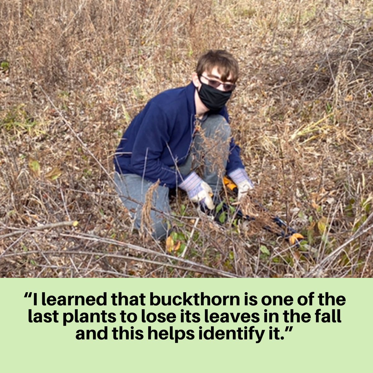bactrust1's tweet photo. Today teen volunteers helped restore Pederson Preserve, BACT’s outdoor classroom, & learned at the same time. Thanks to Illinois Clean Energy Community Foundation & Oberweiler Foundation for grant funding.#naicecfdn #csgrantsil @jbaylor77 @LTurngren @LTurngren @BarringtonHS220 https://t.co/JCljEtq8OM