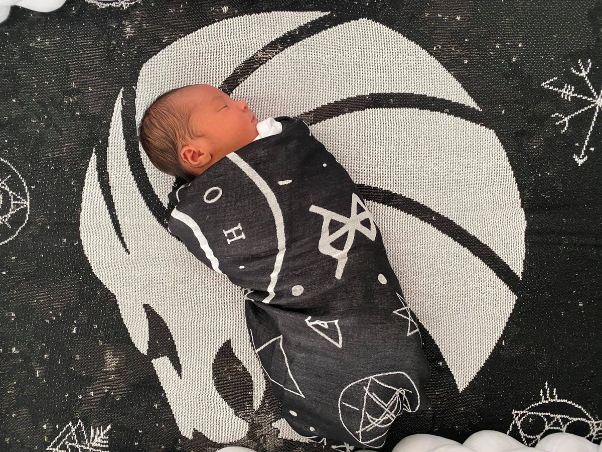 OpheliaRecords's tweet photo. Codex Leonis member @jasiefaye’s @SevenLionsMusic themed crib for Jenevieve 🍼 Start them early!
#sevenlions #codexleonis https://t.co/m9OuZwCgSN