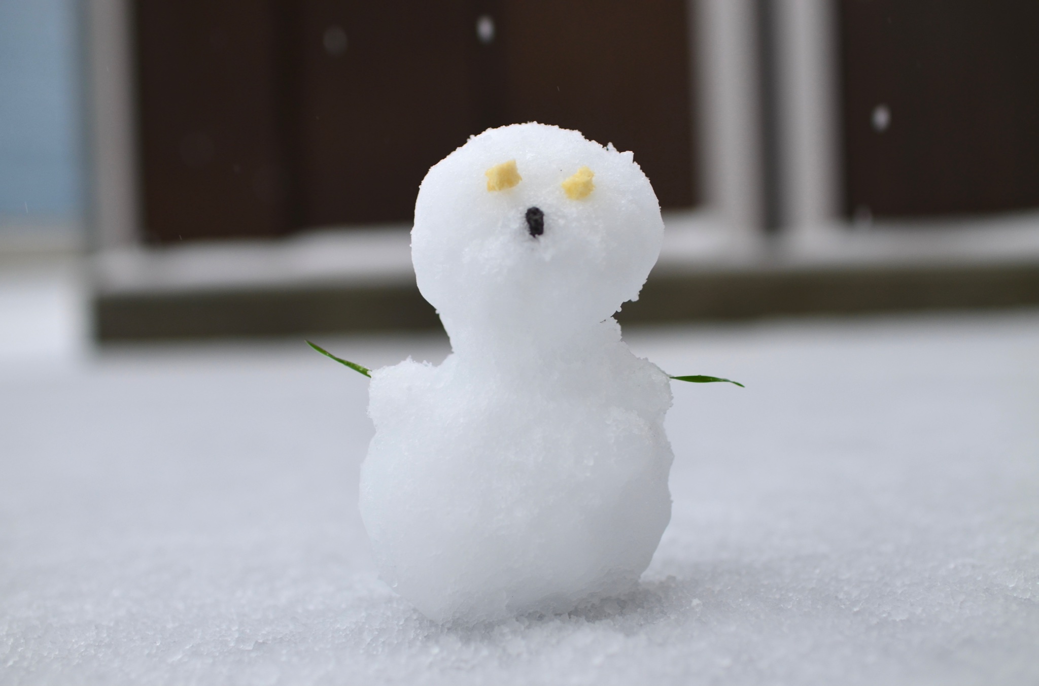 Ruth Naomi Shimon Sano 愛らしい目の雪だるま 北海道は雪 の季節なんですね Twitter