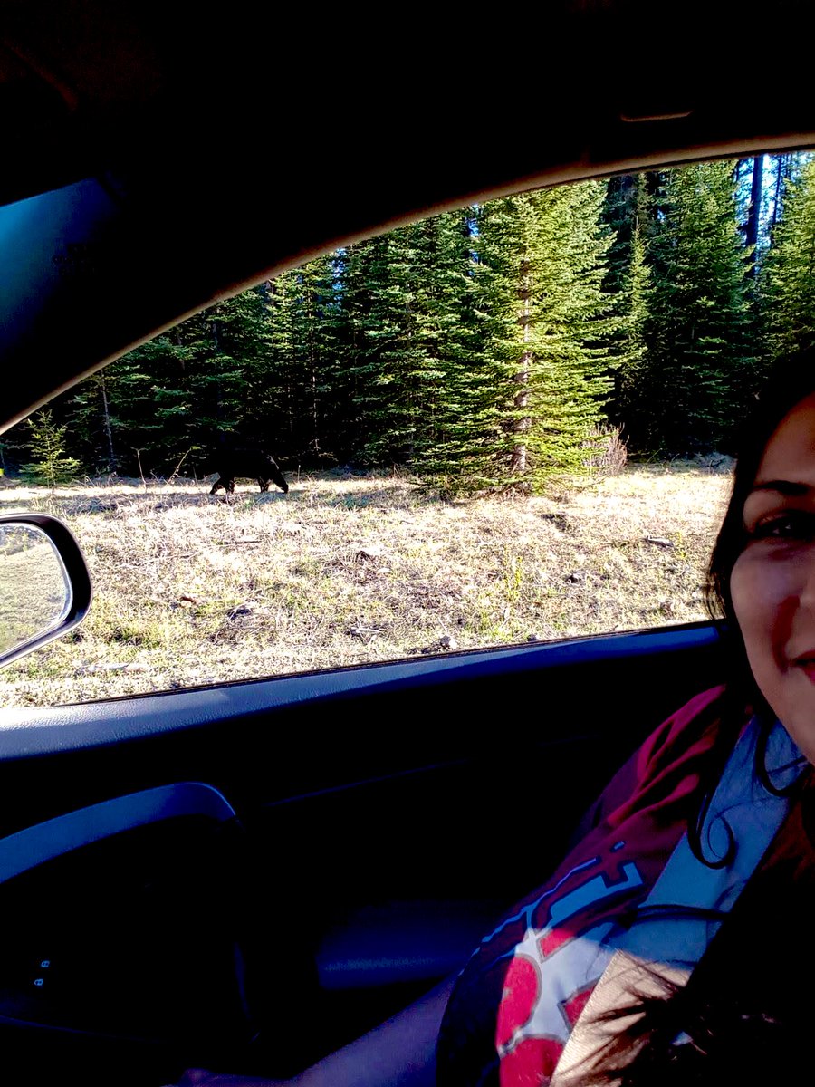 <a href="/BanffNP/">Banff National Park, Parks Canada</a> And wild life Of course.