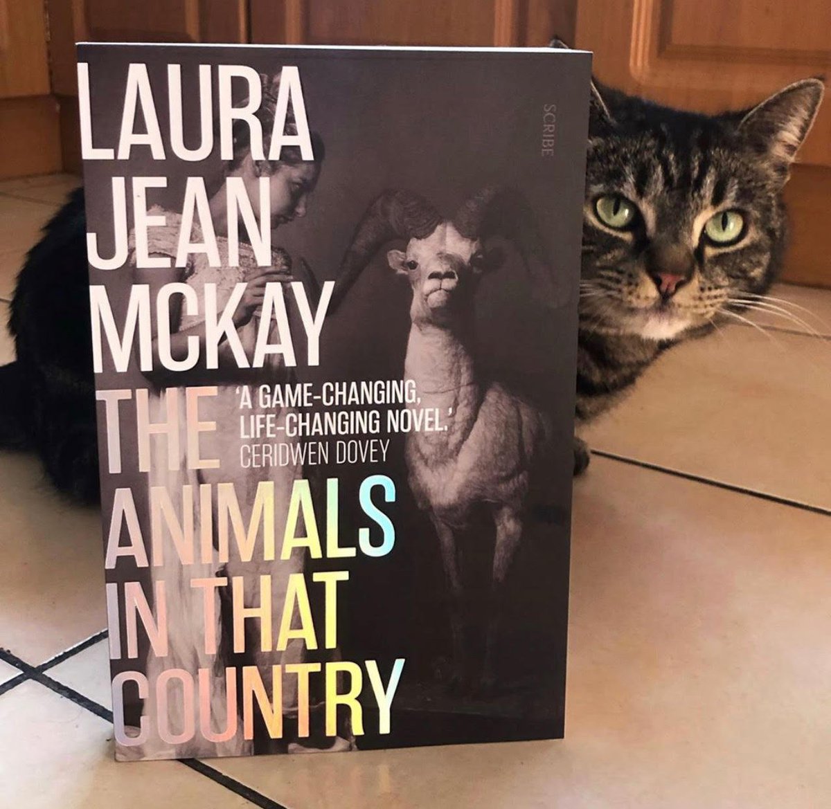 The Animals In That Country, by Laura Jean McKay  @scribepub   An intelligent, emotional, funny – and sometimes terrifying – story. It's definitely changed the way I think about animals and our relationships with them, and I think that change might be lasting,  @laurajeanmckay