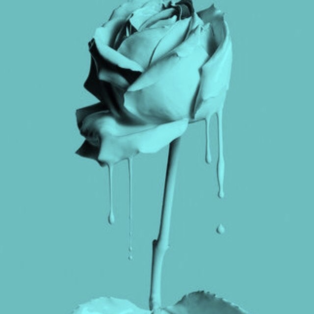 5. What's your favourite colour?