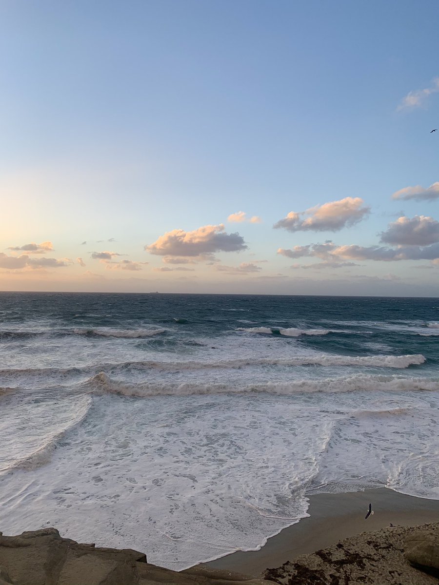 idillionaire's tweet photo. New beginnings. New Energy. 🌅💛✨ https://t.co/XZaiH5oVin