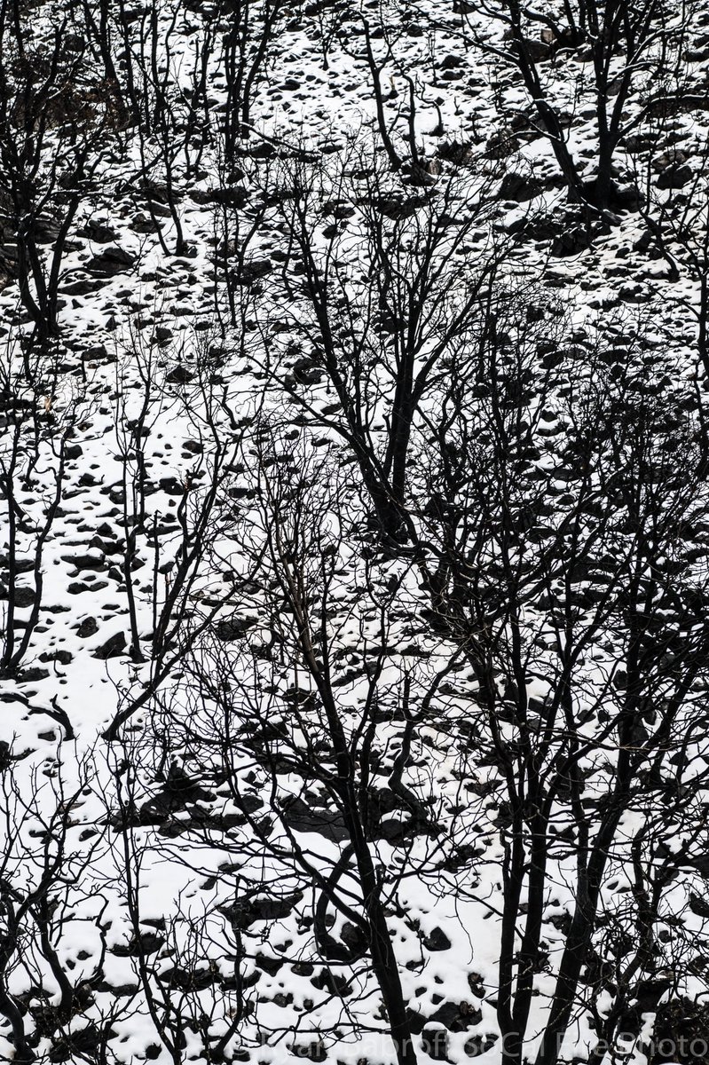 SoCalFirePhoto tweet media