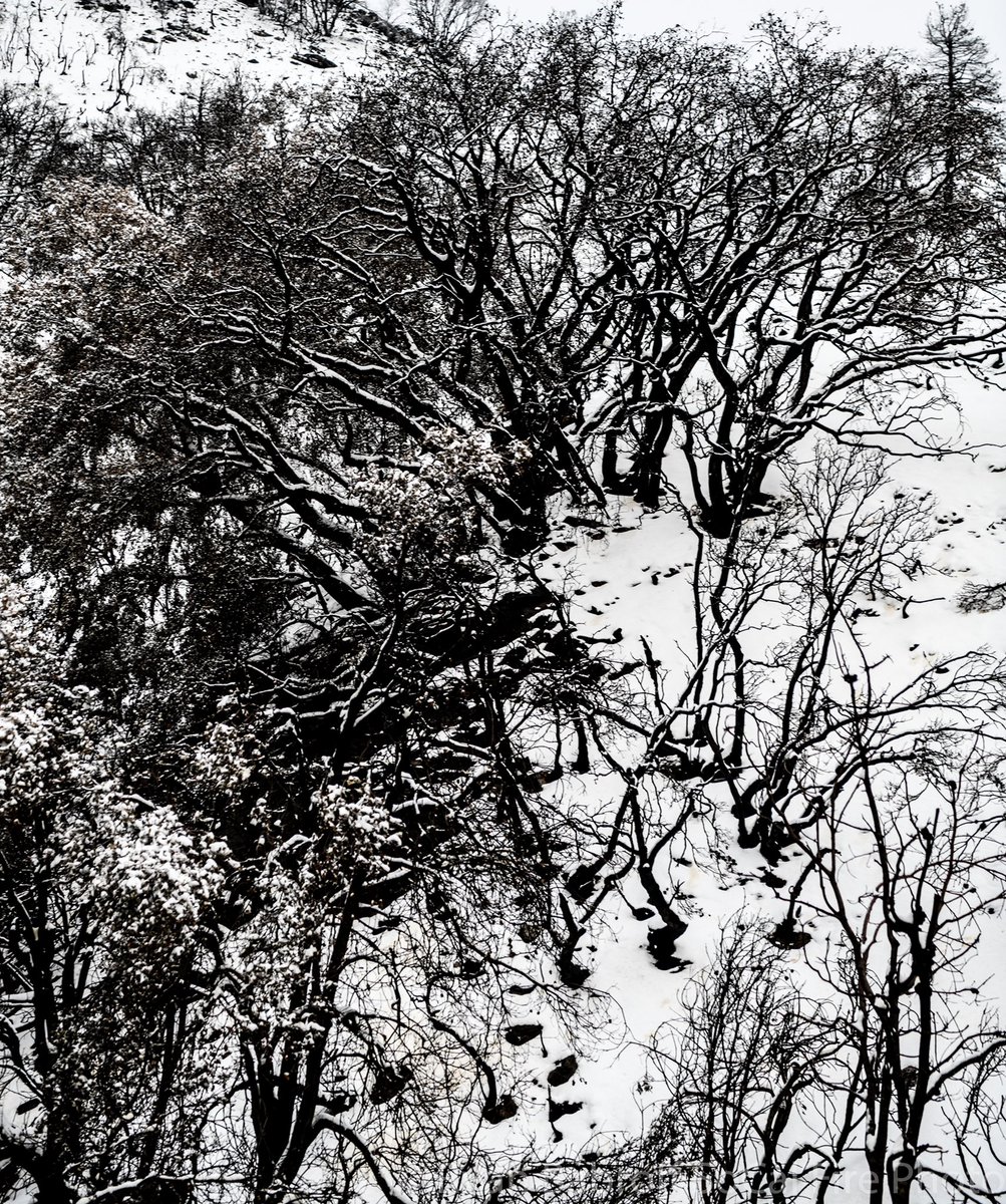 SoCalFirePhoto tweet media