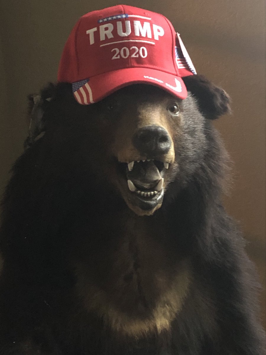 for_lifts's tweet photo. #JusticeForJohnnyDepp #VALRMA #Trump2020 #BlackVoicesForTrump #LatinPower #LatinosForTrump #Bears #AmericaOrTrump 
DO NOT CONCEDE MR PRESIDENT https://t.co/47MgApPXau