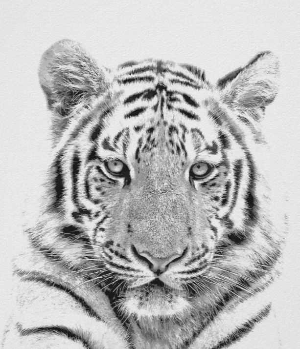 19. What are the initials of someone you love?