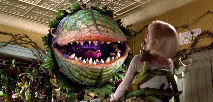 little shop of horrors (1986)similar to rocky horror where it’s pure enjoyment, the music and the cast is great, i love this one so much