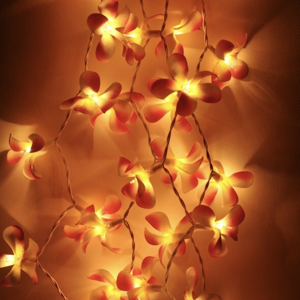 22. What's your favourite TV show?