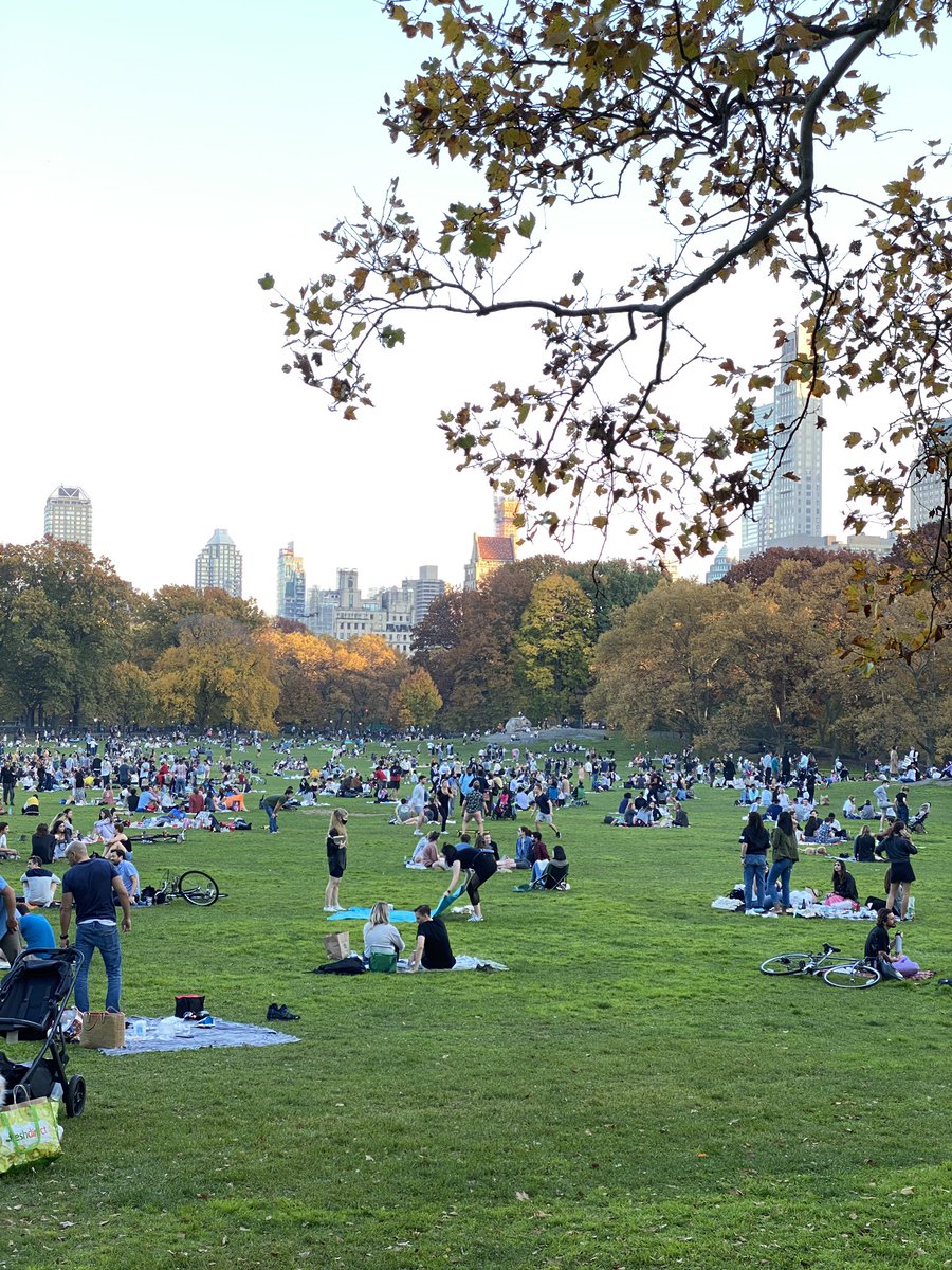 nydiary tweet picture