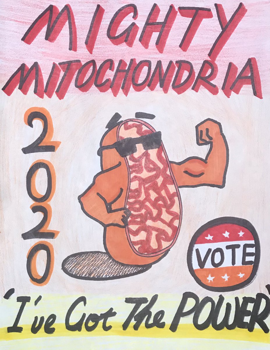 chondria2020's tweet photo. Our campaign poster is up! Don’t forget to vote for mighty-chondria, because your life actually depends on it! #vote #mightychondria #mey20 https://t.co/lbaFOECso0