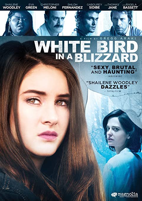 white bird in a blizzard (2014)just watch it, it’s so good