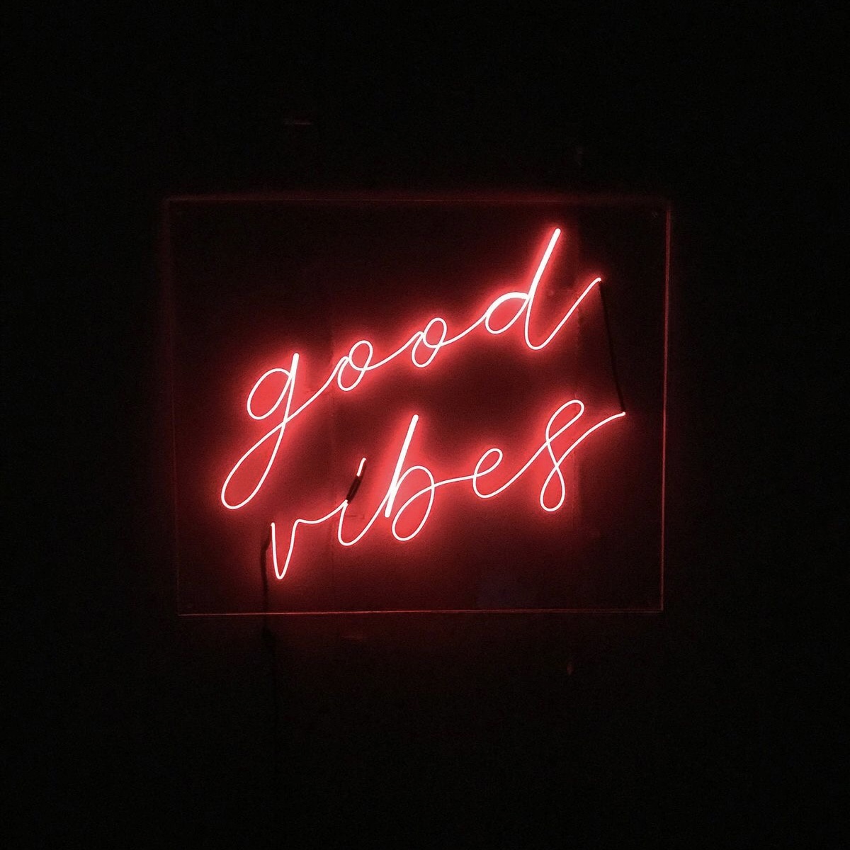 41. What's your favourite animal?