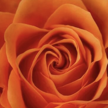 43. What's the thing you fear the most?