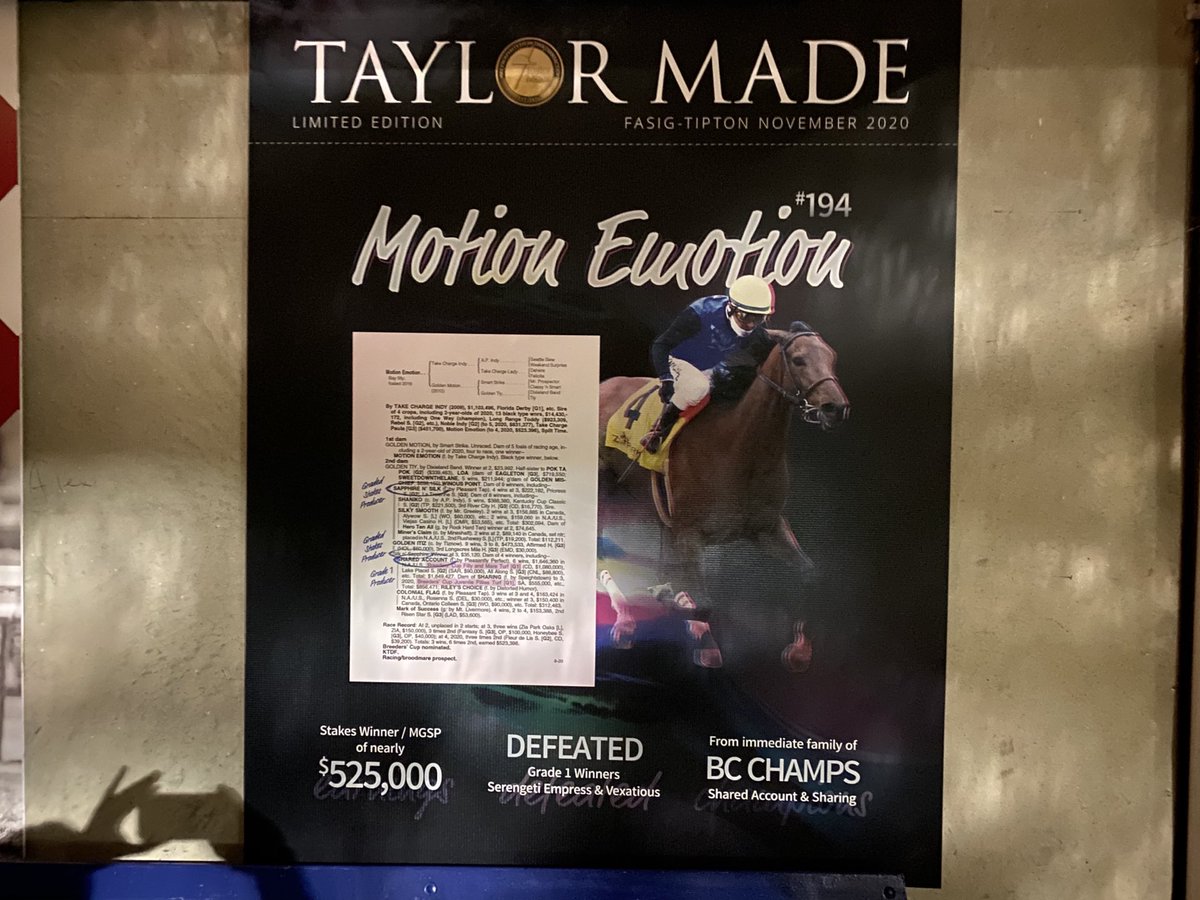 TaylorMadeMark's tweet photo. Thanks to Bing Bush and his Abbodanza team along with our @MedallionRacing partners on the 800k sale of #MotionEmotion!! Thanks to @spendthriftfarm for the support!! https://t.co/YVHqDbm5oC