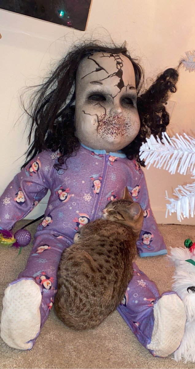 tatimar77's tweet photo. my mom gave me this doll and for a minute I thought it was haunted but then my cat fell in love with it so I guess it’s fine?? https://t.co/2RRkS46s7s