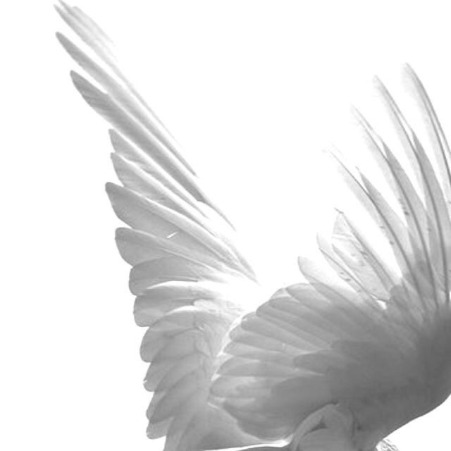 59. What's your zodiac sign?